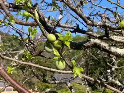 龍隠庵の{uncategorized: "未分類", other: "その他", undefined: "問題あり", building: "その他建物", grave: "お墓", sacred_gate: "鳥居", guardian: "狛犬", statue: "像", buddha: "仏像", history: "歴史", nature: "自然", garden: "庭園", animal: "動物", pagoda: "塔", temizu: "手水舎", mountain_gate: "山門・神門", sanctuary: "本殿・本堂", subordinate: "末社・摂社", art: "芸術", scenery: "景色", jizo: "地蔵", ema: "絵馬", goshuin: "御朱印", omikuji: "おみくじ", items: "授与品その他", amulet: "お守り", goshuincho: "御朱印帳", eats: "食事", festival: "お祭り", votive_dance: "神楽", shichigosan: "七五三参", wedding: "結婚式", experience: "体験その他", initially: "初詣", around: "周辺", anti_infection: "感染症対策"}