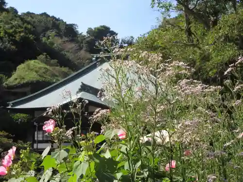 海蔵寺の景色