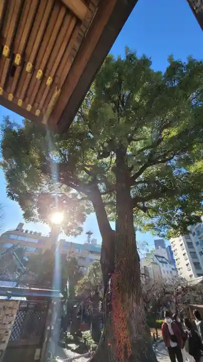 湯島天満宮のその他建物