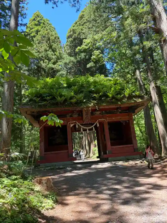 戸隠神社奥社の{uncategorized: "未分類", other: "その他", undefined: "問題あり", building: "その他建物", grave: "お墓", sacred_gate: "鳥居", guardian: "狛犬", statue: "像", buddha: "仏像", history: "歴史", nature: "自然", garden: "庭園", animal: "動物", pagoda: "塔", temizu: "手水舎", mountain_gate: "山門・神門", sanctuary: "本殿・本堂", subordinate: "末社・摂社", art: "芸術", scenery: "景色", jizo: "地蔵", ema: "絵馬", goshuin: "御朱印", omikuji: "おみくじ", items: "授与品その他", amulet: "お守り", goshuincho: "御朱印帳", eats: "食事", festival: "お祭り", votive_dance: "神楽", shichigosan: "七五三参", wedding: "結婚式", experience: "体験その他", initially: "初詣", around: "周辺", anti_infection: "感染症対策"}