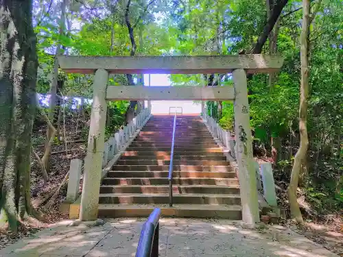 多度神社（夛度神社）の鳥居