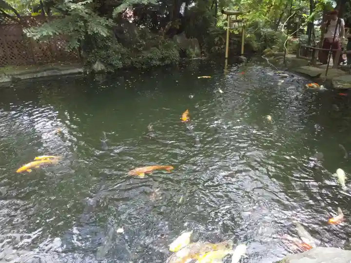 愛宕神社の自然