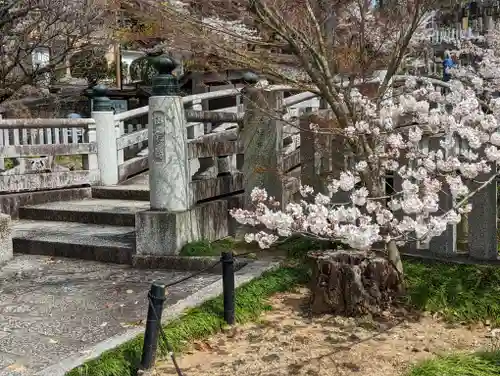 くろ谷 金戒光明寺(京都府)