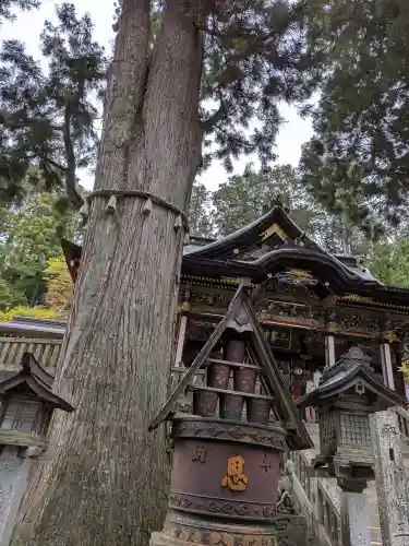 三峯神社(埼玉県)