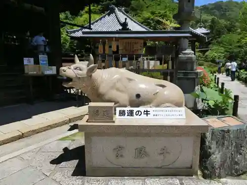 三室戸寺の狛犬