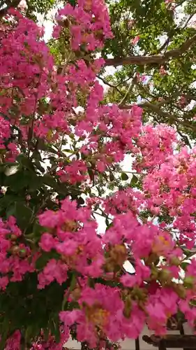 明鏡山龍雲寺の自然