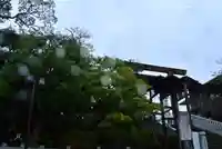 伊勢山皇大神宮(神奈川県)