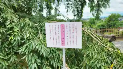 身照寺(岩手県)