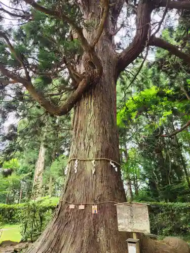牛尾神社の自然