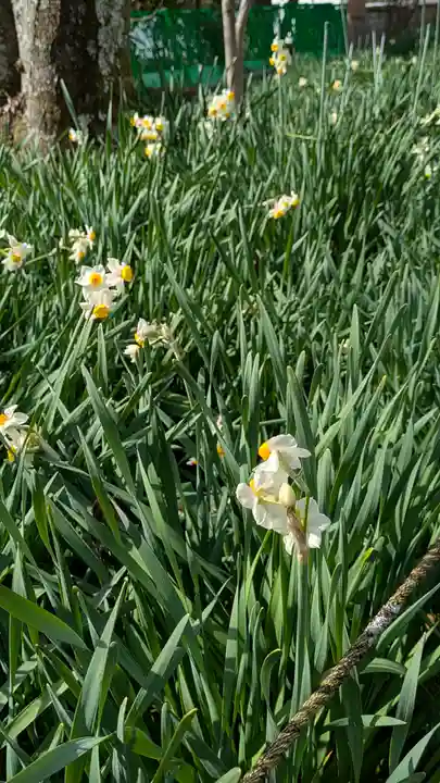 惠心院(恵心院)(京都府)