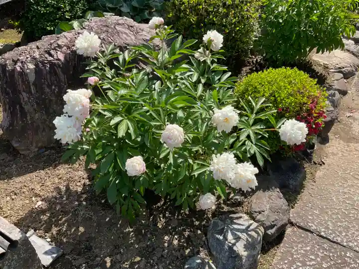 定年寺(栃木県)