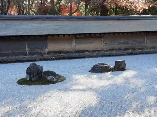 龍安寺の庭園