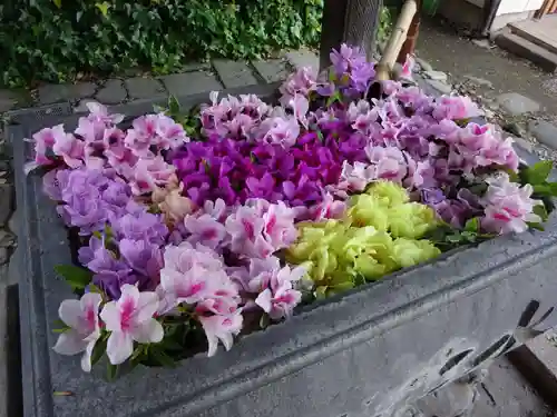 於菊稲荷神社の手水