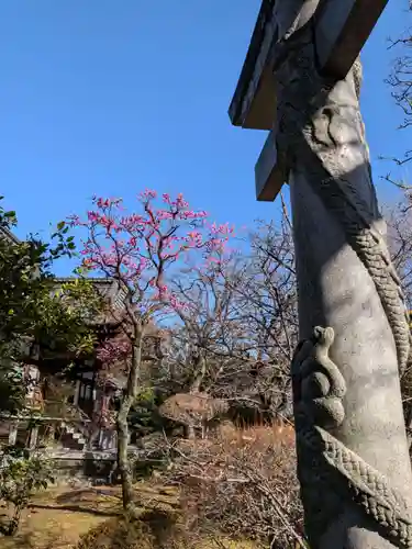 高円寺(東京都)