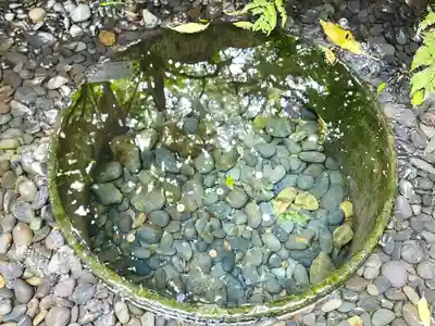 明治神宮(東京都)