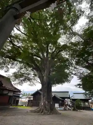 箕輪南宮神社（春宮）(長野県)