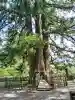 戸隠神社中社(長野県)