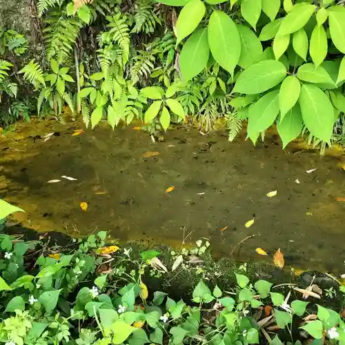 白笹稲荷神社(神奈川県)