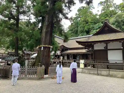大神神社の自然
