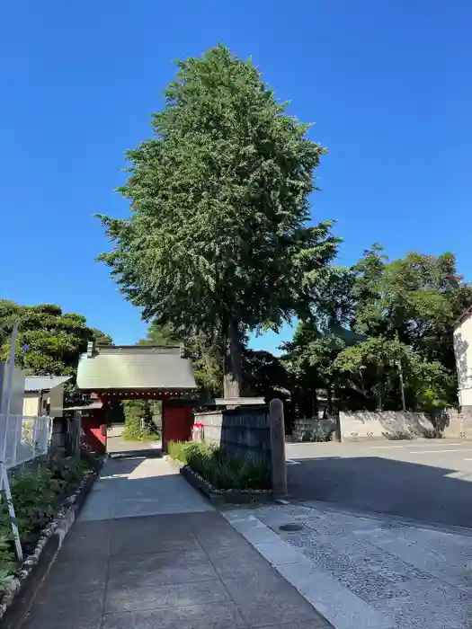 安養寺の建物その他