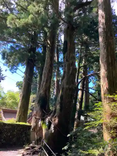 玉置神社(奈良県)