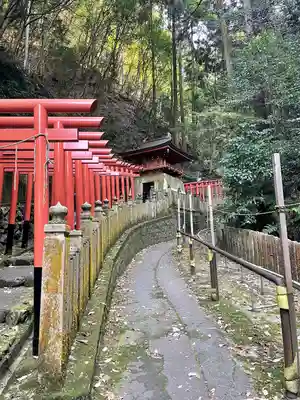 狸谷山不動院の鳥居