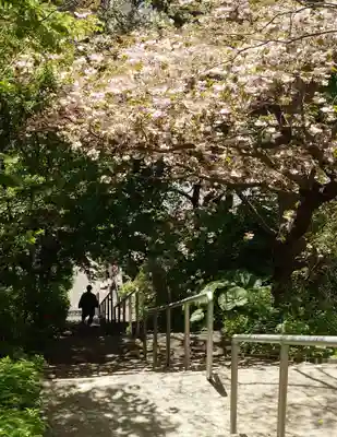 室蘭八幡宮(北海道)