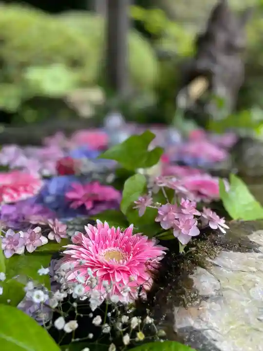 柳津虚空蔵尊 寳性院(宮城県)