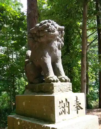 京極八幡神社の狛犬