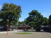 北海道護國神社の自然