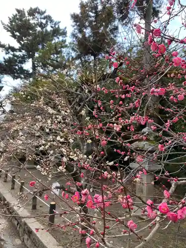 北野天満宮の庭園