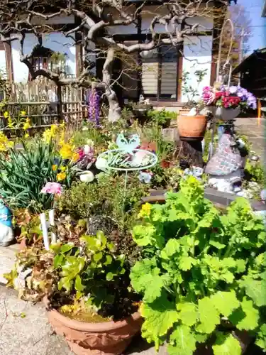 智光院(東京都)