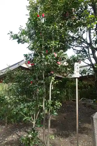 城南宮のその他建物