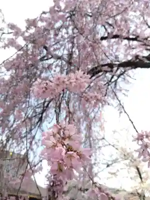 安養寺(福井県)
