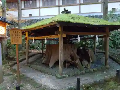大神神社(奈良県)
