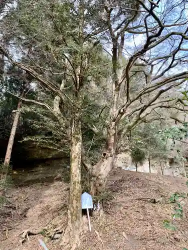 青麻神社(宮城県)