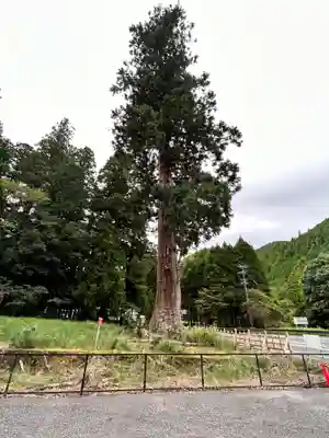 室生龍穴神社(奈良県)
