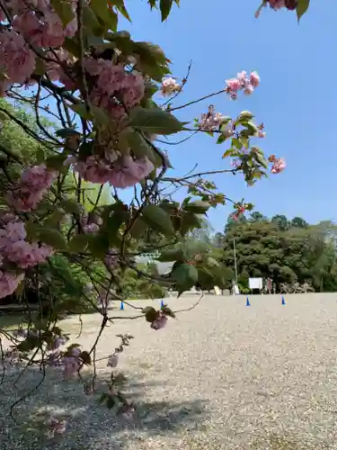 栃木縣護國神社の自然