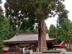 鼬幣稲荷神社の自然