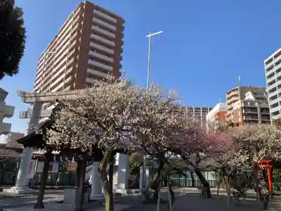 町田天満宮(東京都)