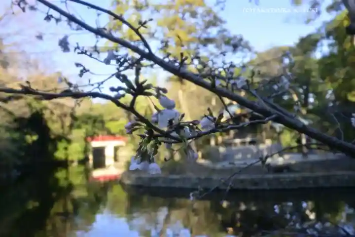 武蔵一宮氷川神社(埼玉県)