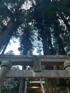 大宮温泉神社(栃木県)(2024年01月04日(木) 08時19分44秒投稿)