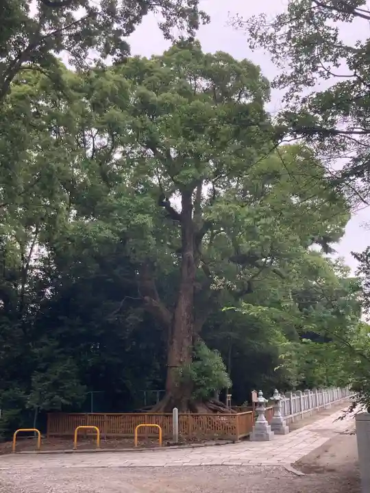 和泉國一之宮 大鳥大社(大阪府)