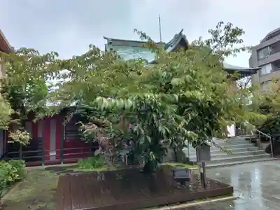 桜神宮(東京都)