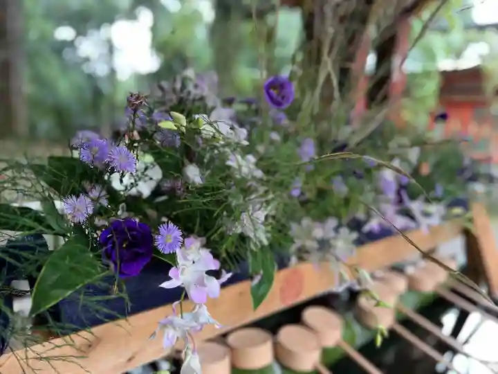 武蔵一宮氷川神社(埼玉県)