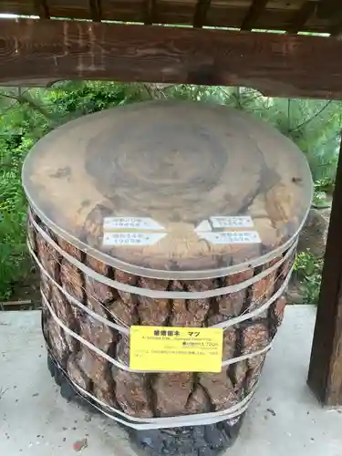 饒津神社の建物その他