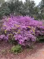 貴船神社の自然
