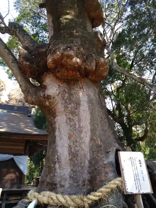 中村八幡宮(栃木県)