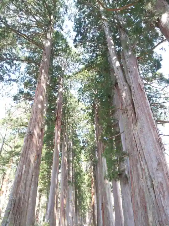 戸隠神社奥社(長野県)