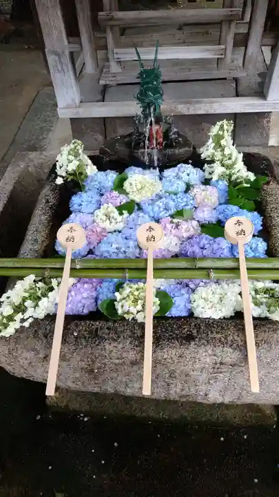 藤森神社の手水舎